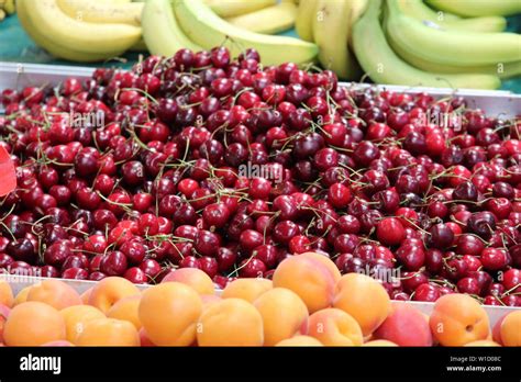 Imported fruits .